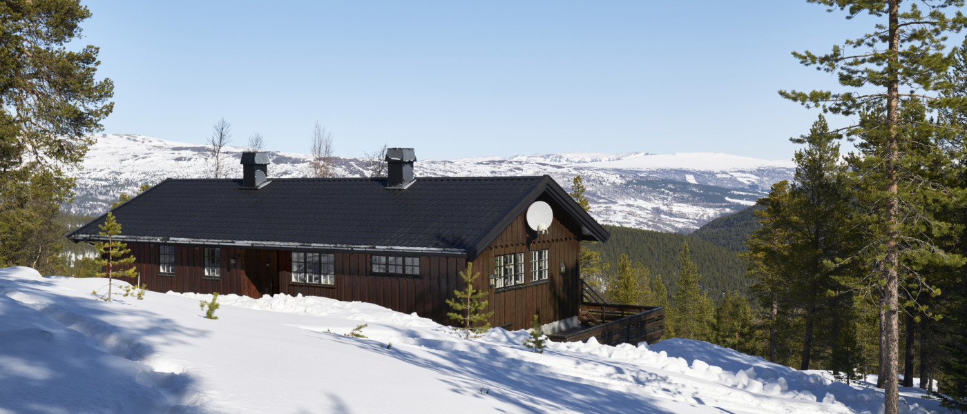 Vaga etter bilder TMM 02355