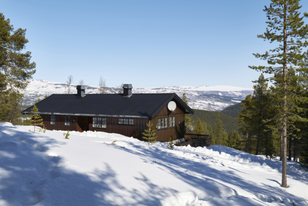 Vaga etter bilder TMM 02355